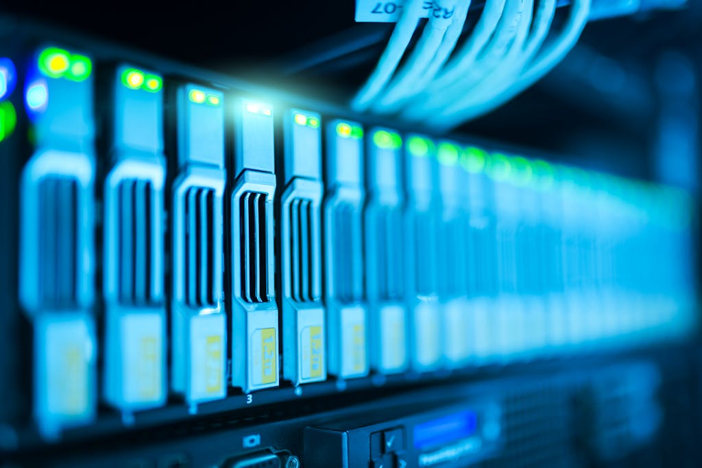 Gestión de Hosting de Alta Velocidad y Limpieza de la BBDD en Valencia